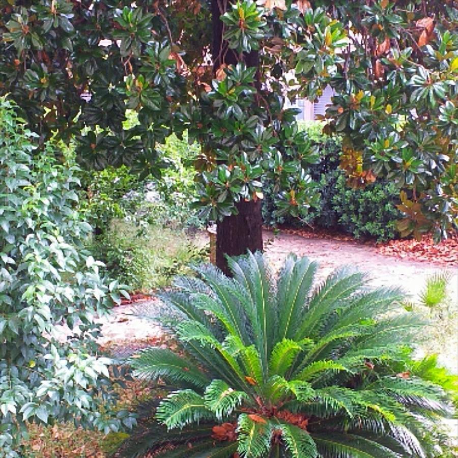Un Giardino A Due Passi Dal Mare Lägenhet La Spezia Exteriör bild
